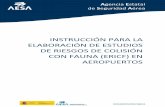 INSTRUCCIÓN PARA LA ELABORACIÓN DE ESTUDIOS DE RIESGOS DE ...