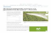 agroindustria del azúcar: Asocaña El etanol importado ...