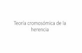 Teoría cromosómica de la herencia - Luis Vives