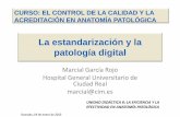 LdiiólLa estandarización y la patología digitalpatología ...