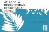 ATLAS DE LA BIODIVERSIDAD DE COLOMBIA. ZAMIAS