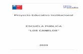 Proyecto Educativo Institucional ESCUELA PÚBLICA