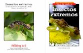 Libro original en inglés de nivel I Insectos extremos ...