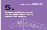 Responsabilidad social corporativa (RSC) en la Región de ...
