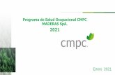 Programa de Salud Ocupacional CMPC MADERAS SpA.