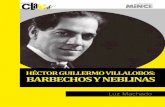 HÉCTOR GUILLERMO VILLALOBOS: BARBECHOS Y NEBLINAS