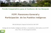 FCPF: Panorama General y Participación de los Pueblos ...