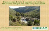 Biodiversidad de la Quebrada de Córdova: Un tesoro antiguo ...