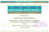 MODULO 6 Sistemas Normativos Internos y Pluralismo Jurídico