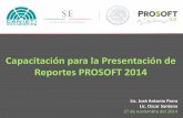 PRESENTACIÓN REPORTES FONDO PROSOFT 2012