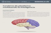 Cerebros de plasticina: moldeando la inteligencia