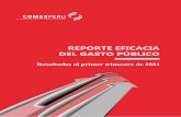 REPORTE EFICACIA DEL GASTO PÚBLICO
