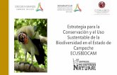Estrategia para la - Biodiversidad Mexicana