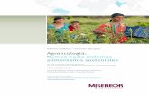 Informe sintético – resumen ejecutivo Agroecología: Rumbo ...