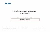 Moleculas organicas LIPIDOS - WordPress.com
