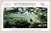 Instituto Nicaragüense de Apoyo a la Micro, Pequeña y ...