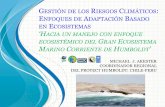 GESTIÓN DE RIESGOS CLIMÁTICOS ENFOQUES ADAPTACIÓN …