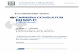 CARRERA CONSULTOR EN SAP FI