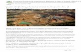 Venezuela: Enclaves de terror minero destruyen la vida, el ...