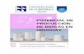 POTENCIAL DE PRODUCCIÓN DE BIOGÁS EN URUGUAY