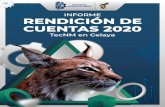 INFORME DE RENDICIÓN DE CUENTAS 2020 DEL TECNOLÓGICO ...