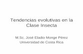 Tendencias evolutivas en la Clase Insecta