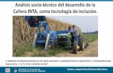 Análisis socio-técnico del desarrollo de la Cañera INTA ...