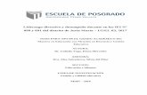 Liderazgo directivo y desempeño docente en las IEI N° 090 ...