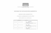 Informe Fiscalización Ambiental - Sistema Nacional de ...
