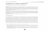 10(18), 69-84, enero–junio 2017 Catálisis en Baja California