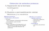 Obtención de extractos proteicos 1) Separación de la biomasa