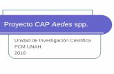 Proyecto CAP Aedes spp. - BVS