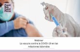 Webinar La vacuna contra la COVID-19 en las relaciones ...