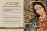 San Juan Diego fue hijo fiel de la Virgen de Guadalupe y ...
