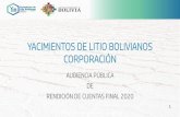 YACIMIENTOS DE LITIO BOLIVIANOS CORPORACIÓN
