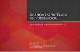 AGENDA ESTRATÉGICA DEL PODER JUDICIAL 2013 -2014