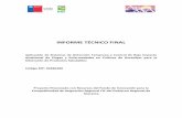 INFORME TÉCNICO FINAL - Gobierno Regional de Atacama
