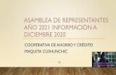 ASAMBLEA DE REPRESENTANTES AÑO 2020 INFORMACIÓN A ...