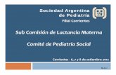 SubComisión de Lactancia Materna Comitéde Pediatría Social