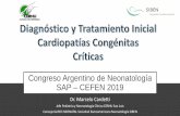 Congreso Argentino de Neonatología
