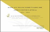 II PLAN MANCOMUNADO DE ADICCIONES (PMA)