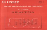 INSTITUTO GEOLOGICO V MINERO DE ESPAI'lA