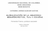 GLOBALIZACIÓN DE LA AMAZONIA: MEGAPEROYECTOS, TLCs Y …