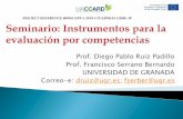 Prof. Diego Pablo Ruiz Padillo Prof. Francisco Serrano ...