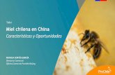 Taller Miel chilena en China