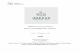 GOBIERNO DEL ESTADO DE JALISCO SISTEMA JALISCIENSE DE ...