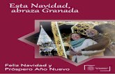 Esta Navidad, abraza Granada