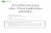 Evidencias de Portafolio 2020. - Liceo Brainstorm