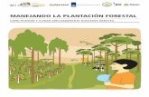 MANEJANDO LA PLANTACIÓN FORESTAL