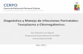 Diagnóstico y Manejo de Infecciones Perinatales ...